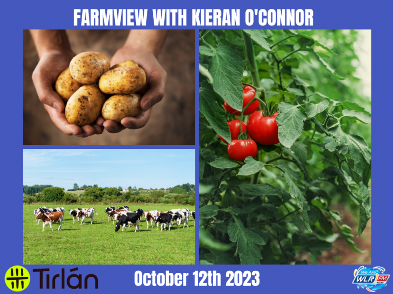 Listen Back: Farmview October 19th, 2023