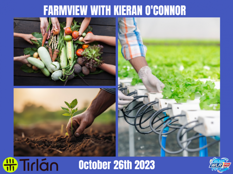 Listen Back: Farmview October 26th, 2023