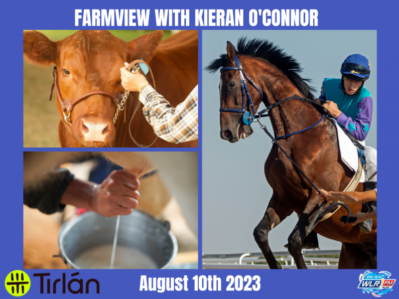 Listen Back: Farmview August 10th, 2023