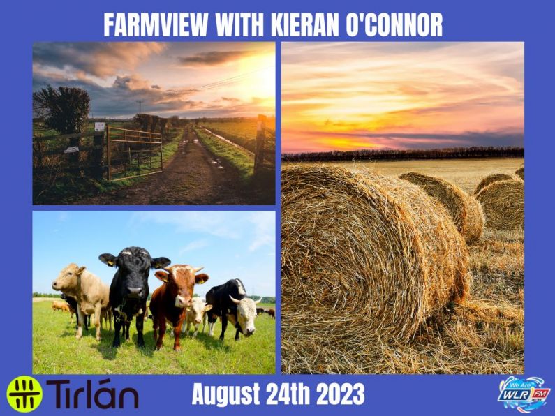 Listen Back: Farmview August 24th, 2023 with Kieran O'Connor.