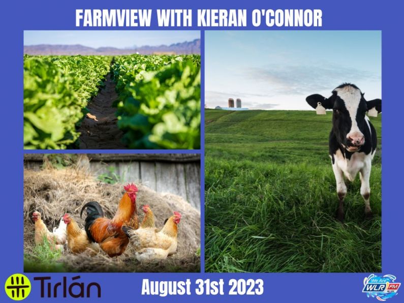 Listen Back: Farmview August 31st.