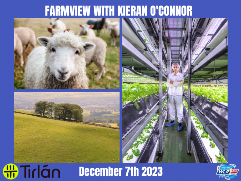 Listen Back: Farmview December 7th, 2023