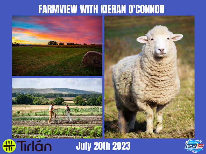 Listen Back: Farmview July 20th, 2023