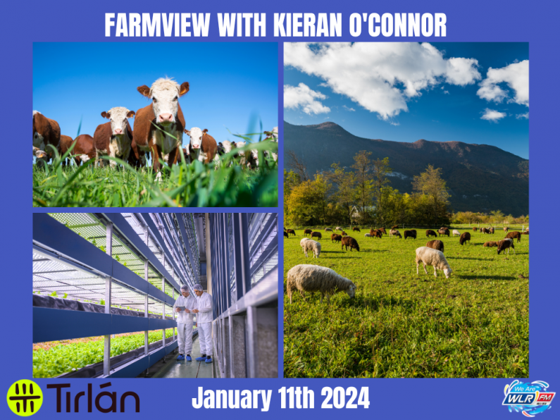 Listen Back: Farmview January 11th, 2024