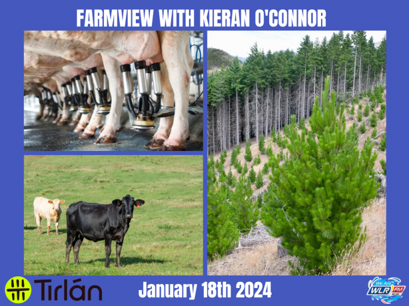 Listen Back: Farmview January 18th, 2024
