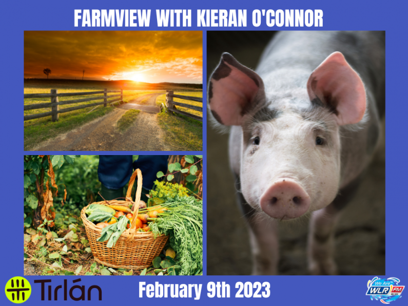 Listen Back: Farmview February 9th 2023