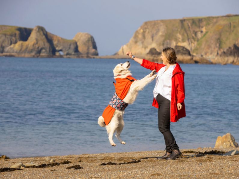 Waterford entrepreneur launches 'dog-drying' coat