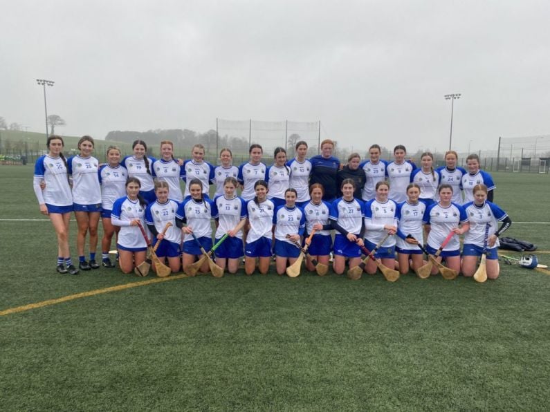 Waterford book their place in Munster Minor Camogie Final