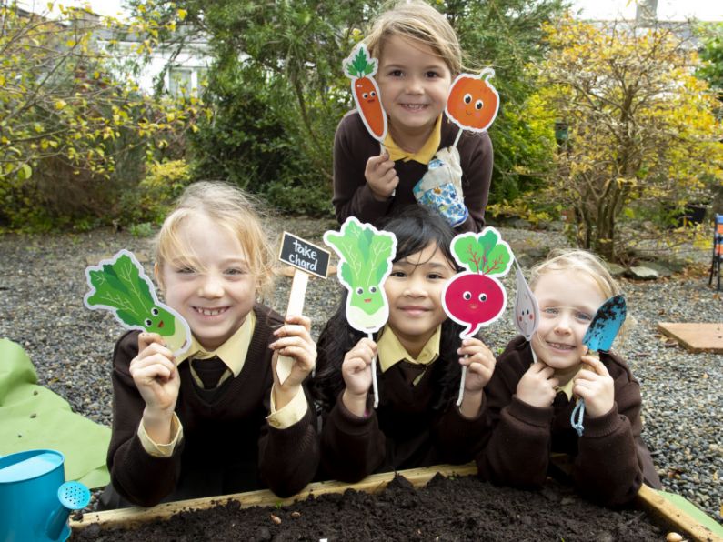 GIY Waterford launch the ‘GROW At School’ Food Education programme
