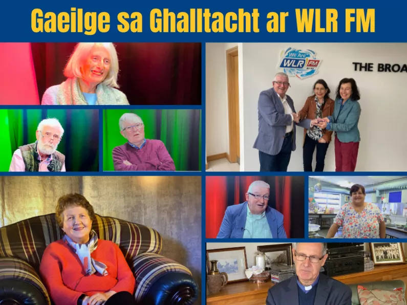 Part 10 Michael O'Maranain - Gaeilge sa Ghalltacht ar WLR FM