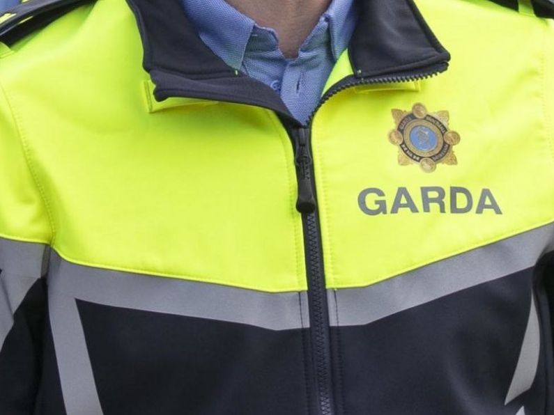 Gardaí at the scene of alleged assault in Piltown