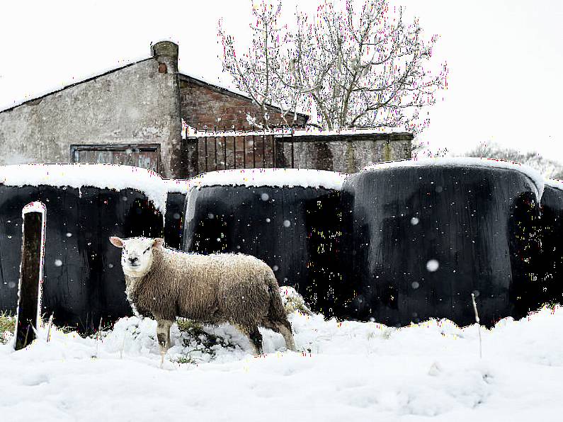 Chance of snow next week as Arctic airmass moves over Ireland