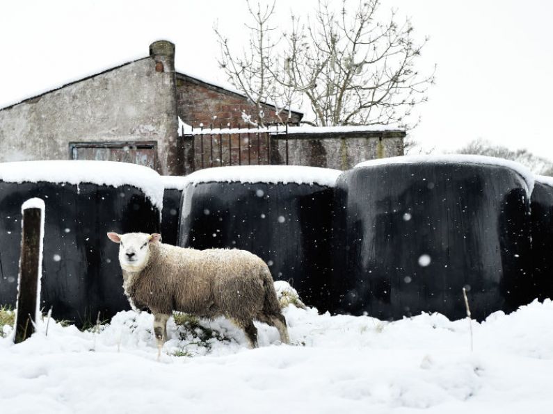 Status yellow snow and ice warning for all counties