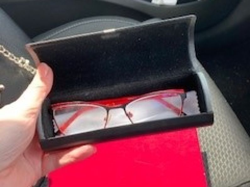 Found: Glasses and case (shown in photo)