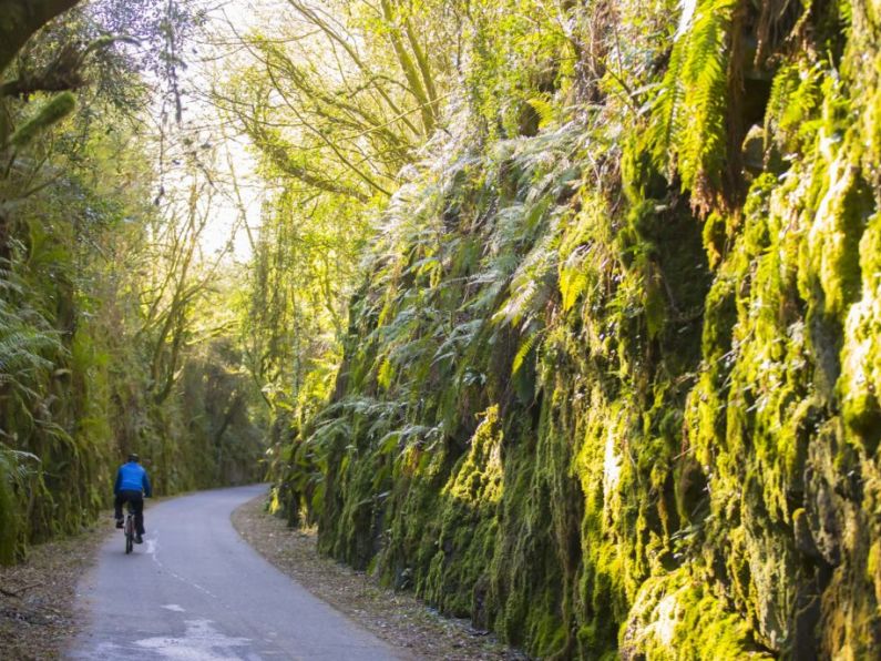 Waterford Greenway named ‘Ireland’s Best Visitor Attraction’ in Irish Independent Reader Travel Awards