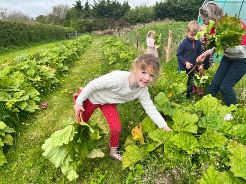 PHOTOS: Record attendance at this year's West Waterford Festival of Food