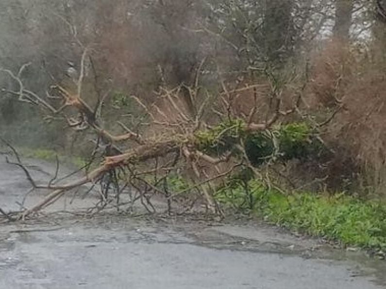 Roads closed, trees down and power out across Waterford