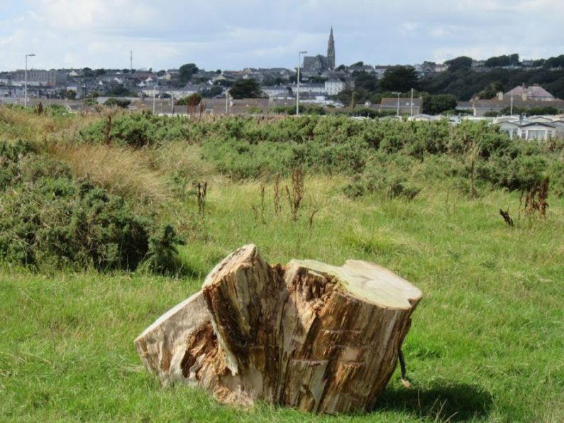 Concerns over Tramore amenity following serious accident