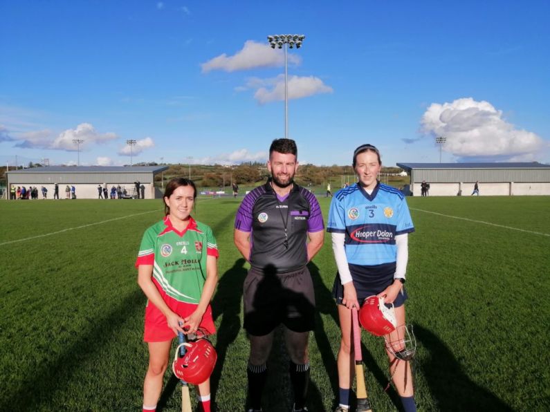 Wins for Gailltir & De La Salle in camogie semi finals