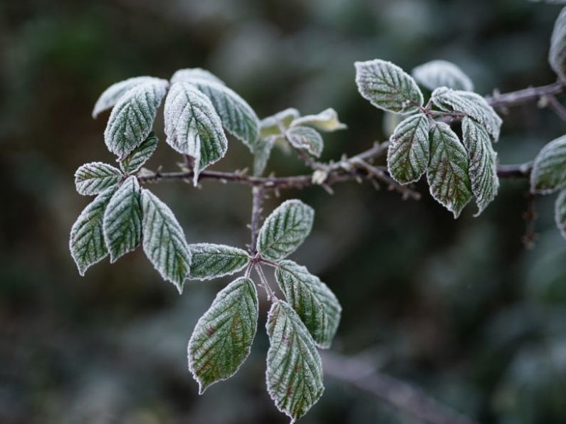 Status orange ice warning in place for entire country