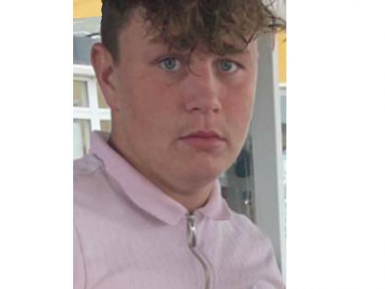 Waterford Gardaí appeal for help in tracing missing teenager