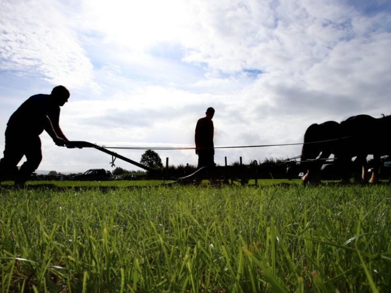 First day of National Ploughing Championships draws crowd of 91,500 people