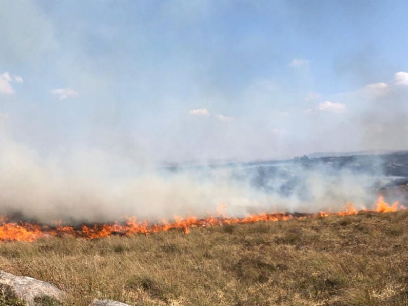 Heat stress, forest fires, melting roads and power cuts forecast alongside heatwave