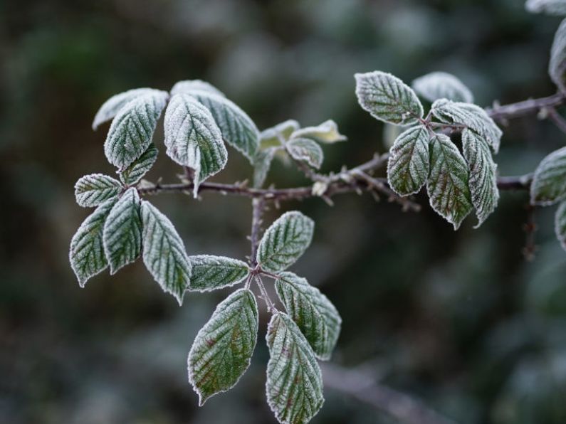 Status Yellow weather warning issued for Waterford