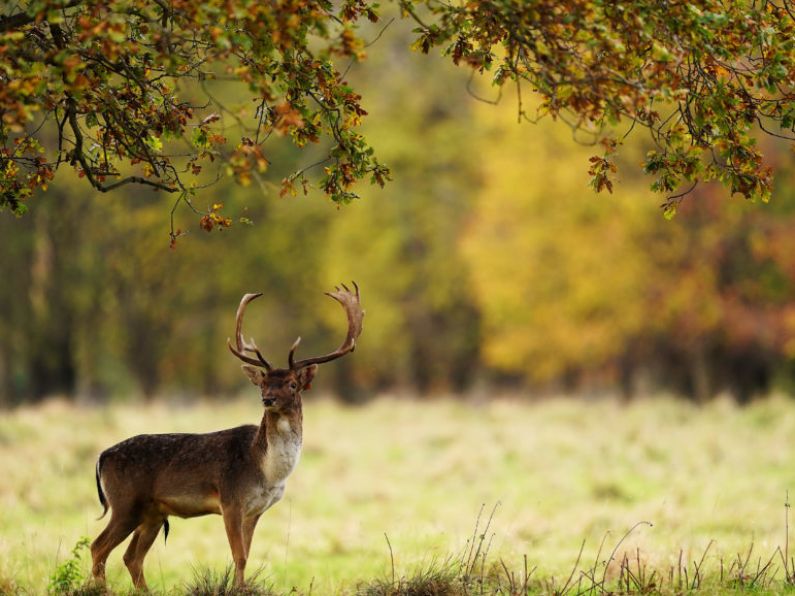 Unusual October warm spell could see heat records broken this weekend