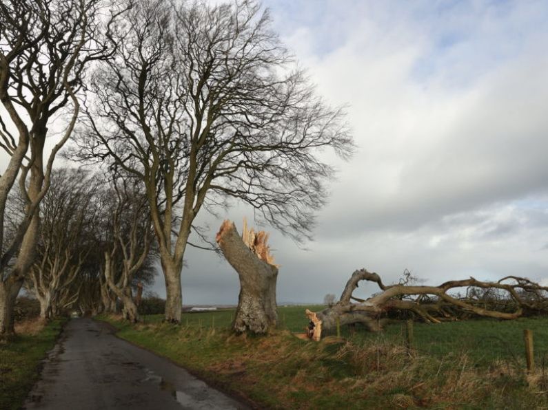 Storm Jocelyn: Thousands remain without power as more Orange warning hits Ireland