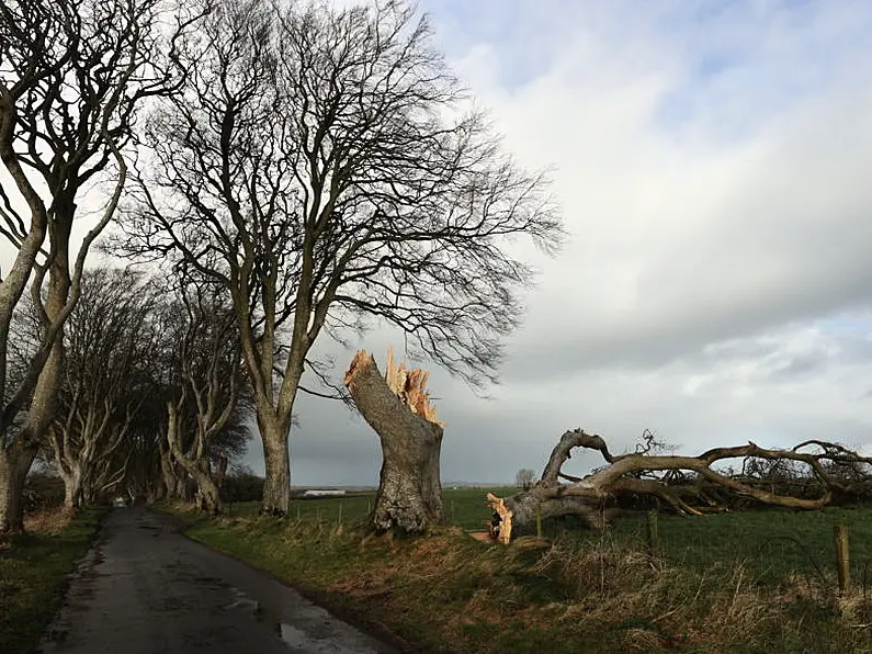 Storm Jocelyn: Thousands Remain Without Power As More Orange Warning ...