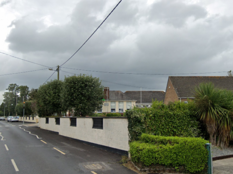 Protest in Piltown halts erection of telecommunications pole
