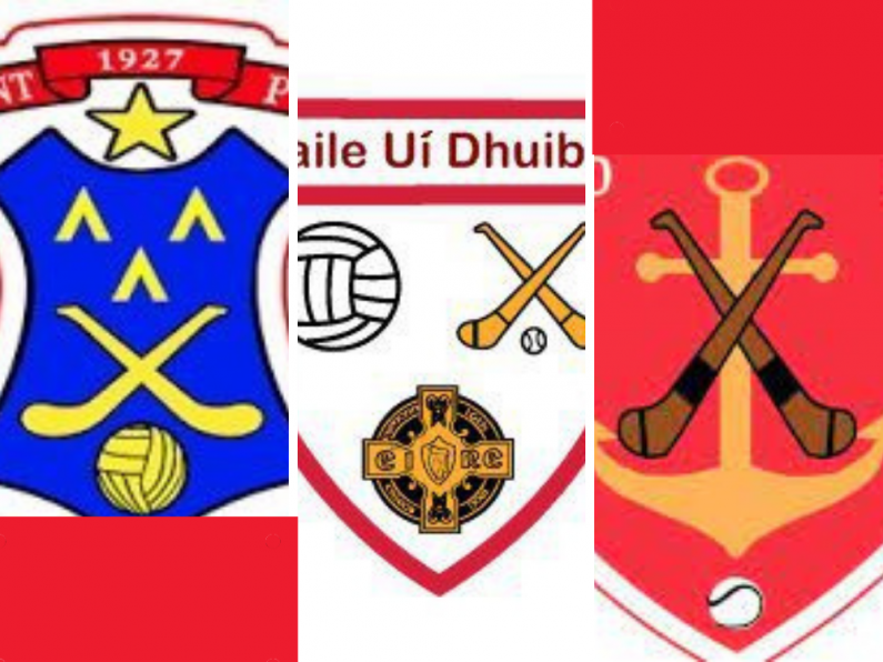 QUIZ: Waterford GAA club logos