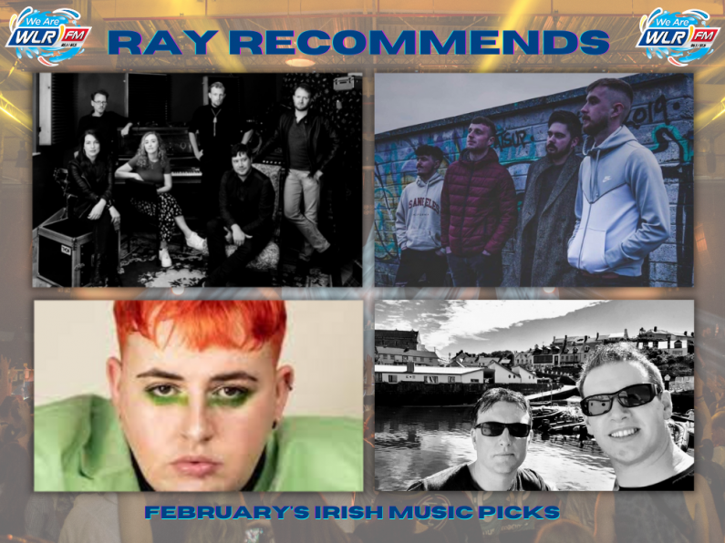 Ray Recommends: February's Irish music picks from The Shift