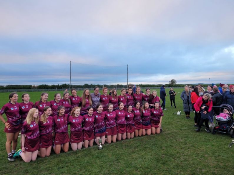 &quot;Unbelievable feeling, to come home with a win is absolutely outstanding&quot; - St. Declan's College basking in All-Ireland glory