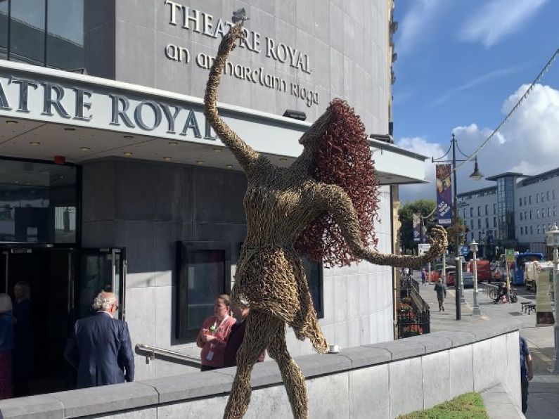 Waterford welcomes new biodiversity garden and scupture