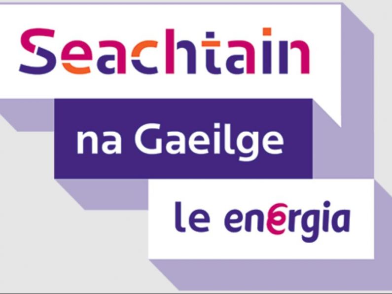 Plenty planned for Seachtain na Gaeilge in Waterford!