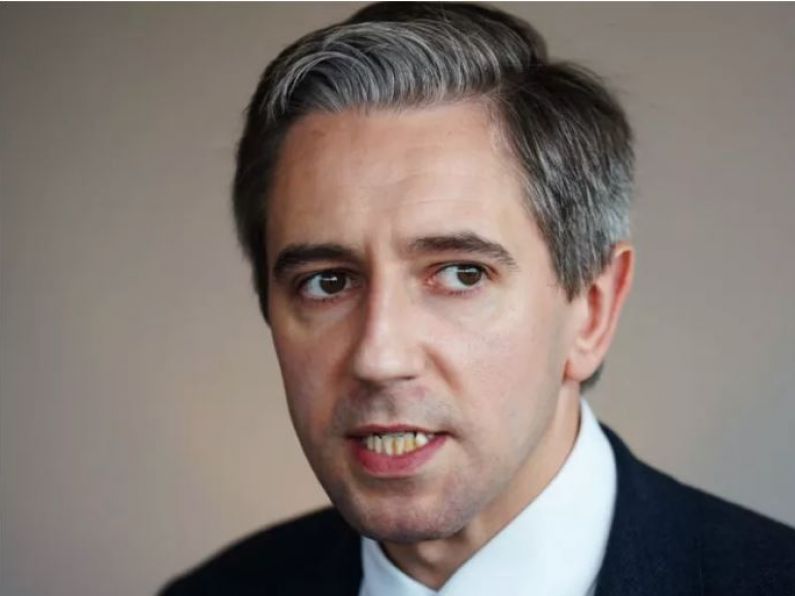 Simon Harris calls for doubling of rent tax credit