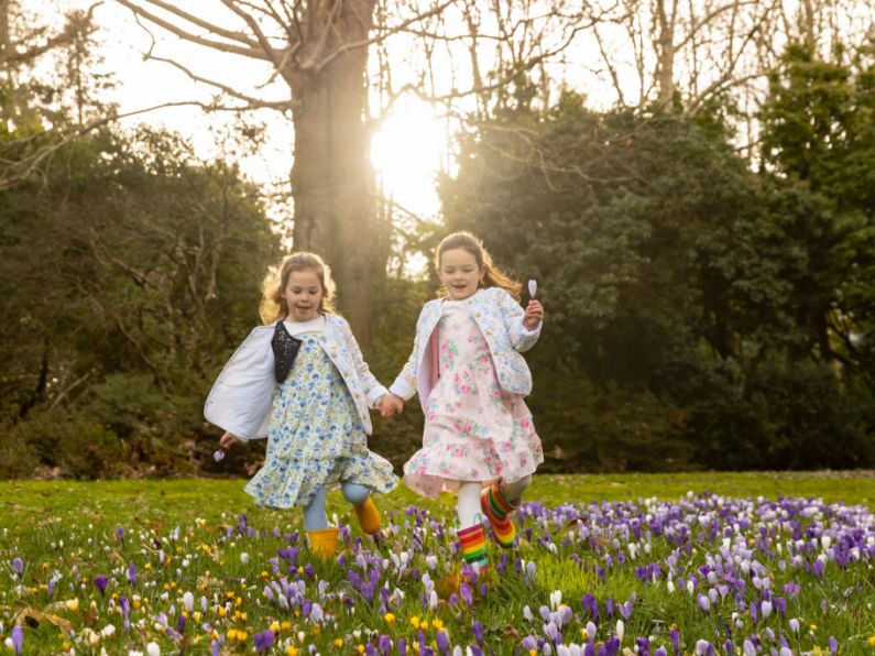 Mount Congreve Gardens Reopen on the First Day of Spring for 2024