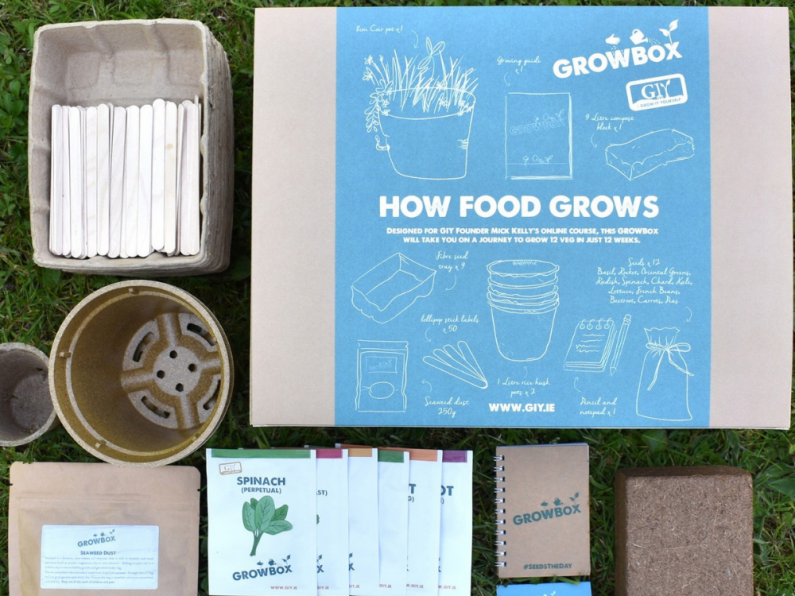Grow 12 vegetables in just 12 weeks with a GIY Growbox