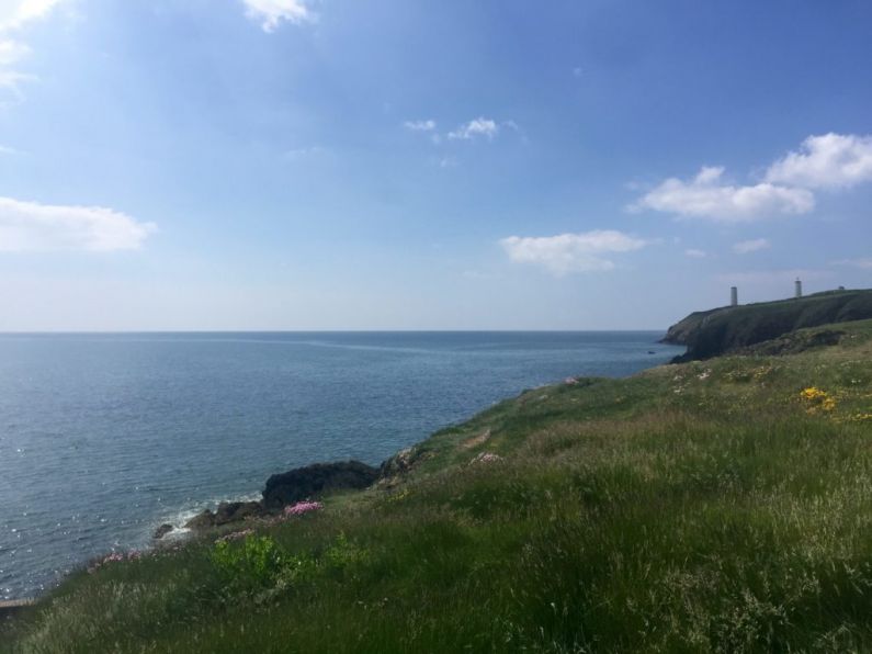 Controversy over new railings installed at Newtown Cove, Tramore