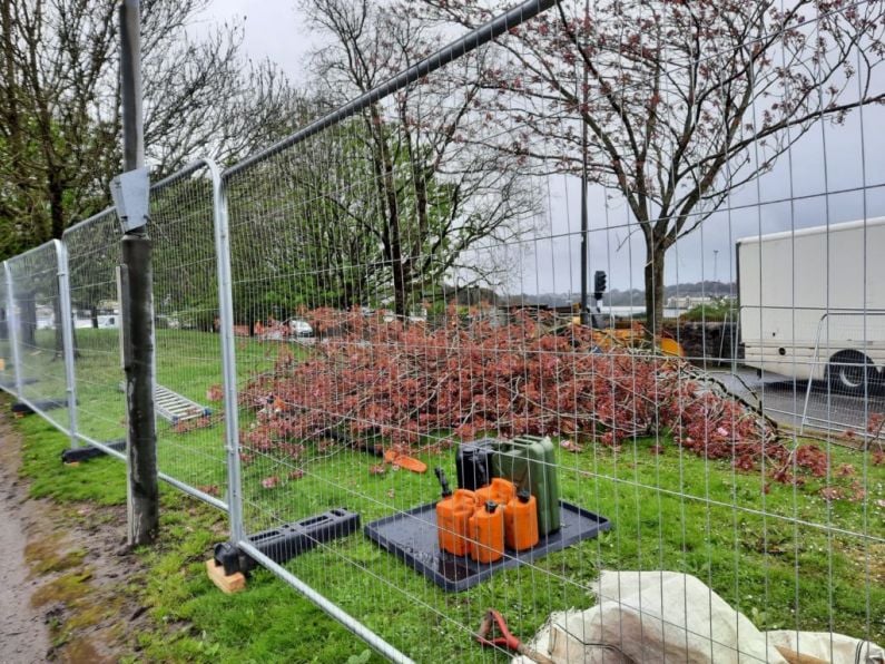 Ferrybank residents concerned over removal of trees at North Quays site