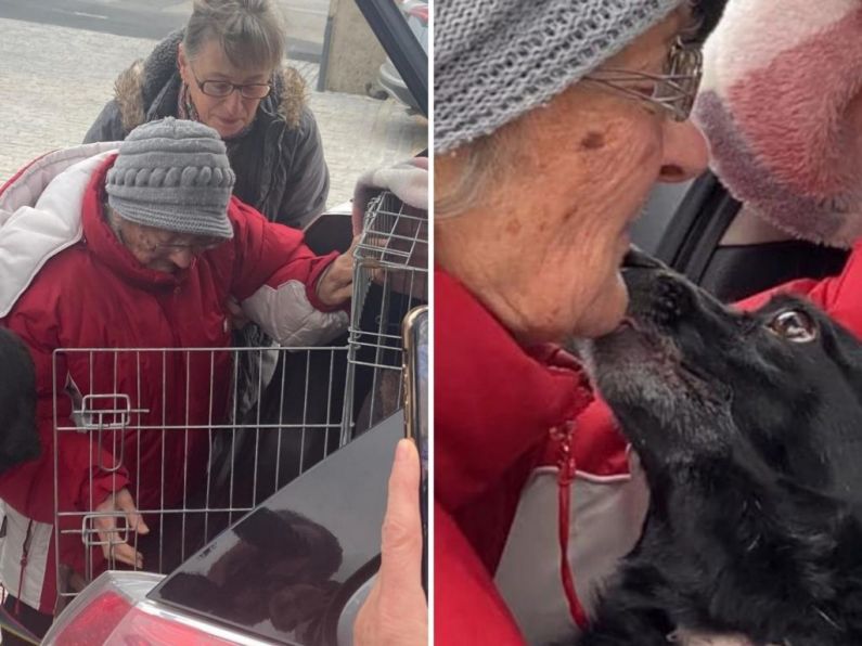 Dungarvan woman reunites 86 year old Ukrainian woman with her dog