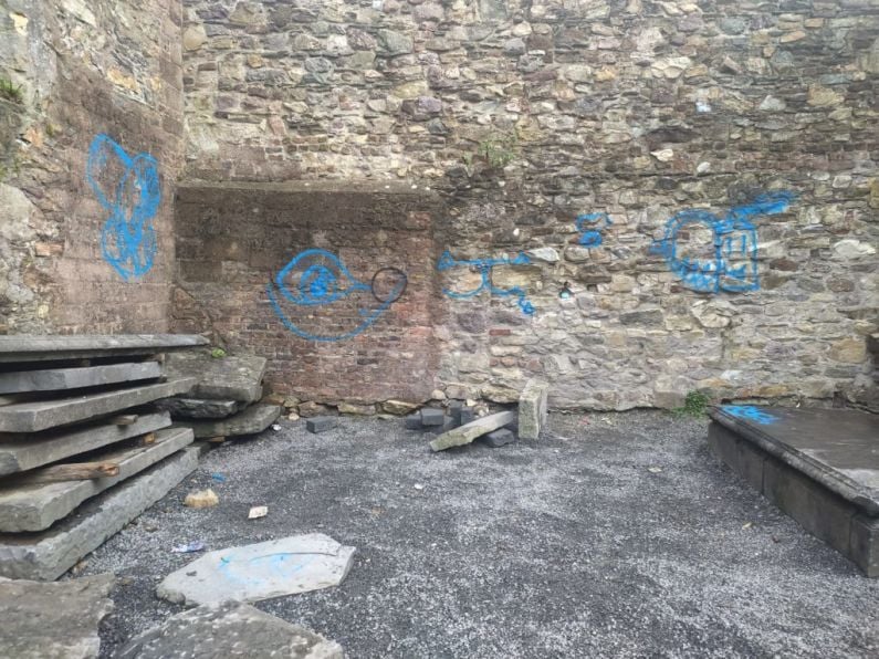 Vandalism of Waterford's medieval sites condemned