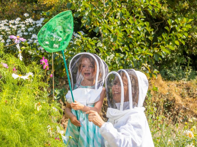 Waterford MEP praises important bee-saving European Citizens' initiative