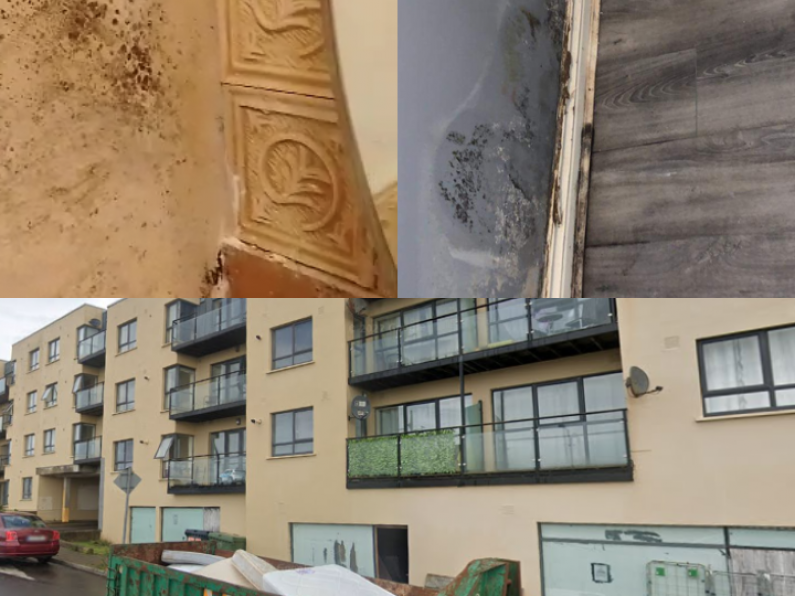 Ivan Grimes on Mount Suir Apartment mould, damp, leaks, and more