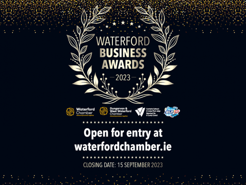 November 15th: WLR Waterford Chamber Business Awards Part 2