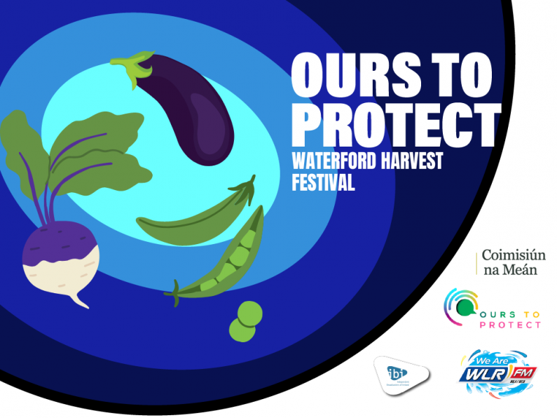 Ours To Protect Week 14 - Clodagh Walsh take a look at Waterford Harvest Festival 2023