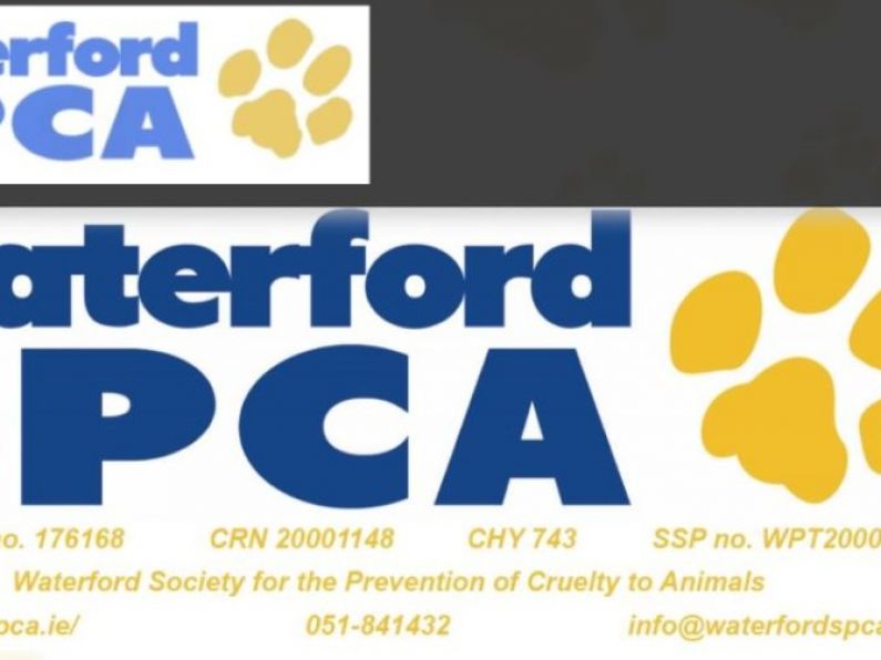 Waterford SPCA is in danger of shutting down after 152 years