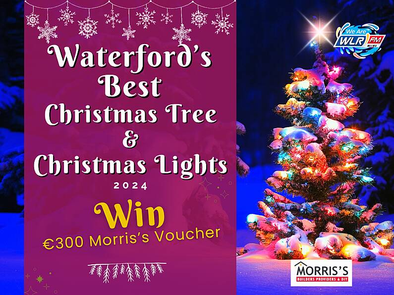 Waterford's Best Christmas Tree and Best Christmas Lights